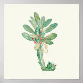 Aquarelle Antique Botanique Affiche d'impression (Devant)