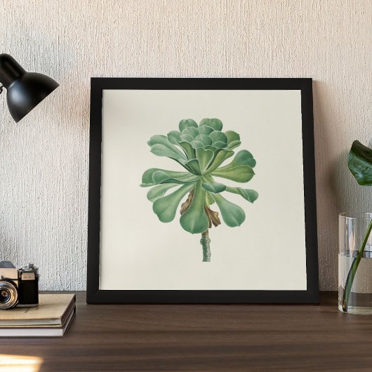 Aquarelle Antique Botanique Cactus Imprimer Poster