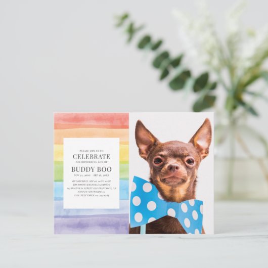 Aquarelle arc-en-ciel rayures Animaux Invitation c (Debout devant)