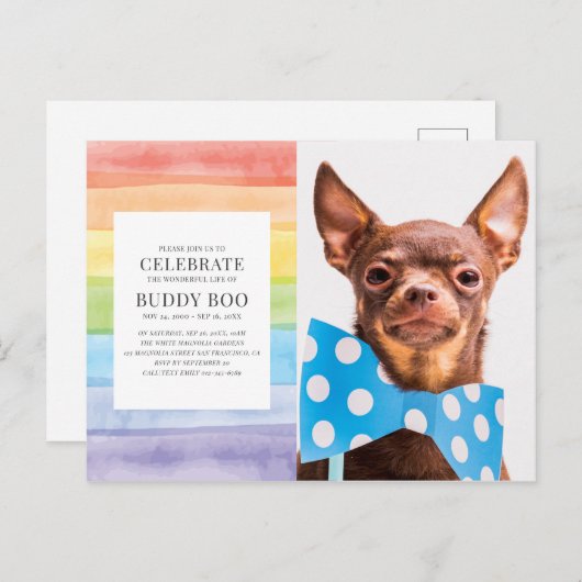 Aquarelle arc-en-ciel rayures Animaux Invitation c (Devant / Derrière)