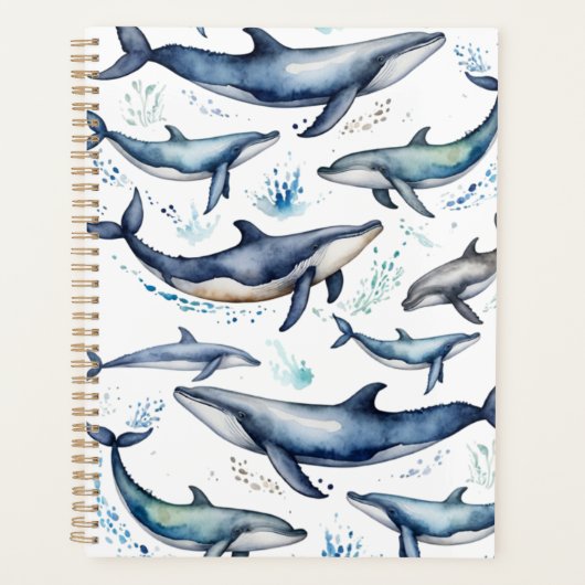 Aquarelle Baleines bleues et dauphins, animal mari (Devant)