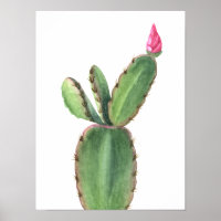 Aquarelle Cactus rose Fleur Poster