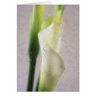 Aquarelle Calla Lily 1