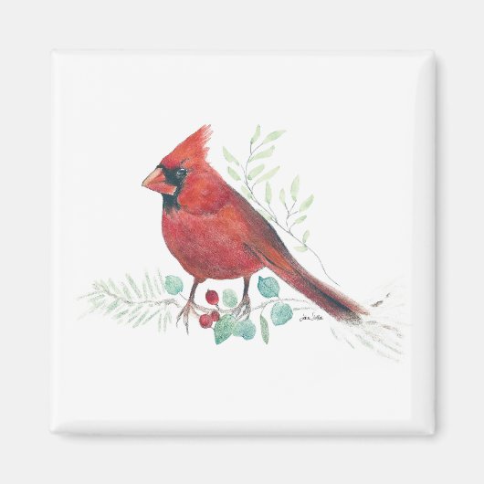 Aquarelle cardinale rouge Magnet (Devant)