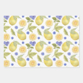 Aquarelle Citron et Fruit aux bleuets avec Feuille (Devant 3)