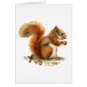 Aquarelle Cute Écureuil rouge Nature animale