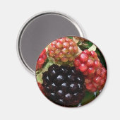Aquarelle de Blackberry - Magnet (Recto/Verso)