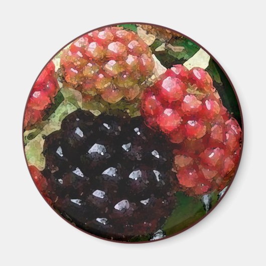 Aquarelle de Blackberry - Magnet (Devant)
