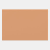 Aquarelle de ferme Animaux Oies Feuillet papier d' (Devant 2)