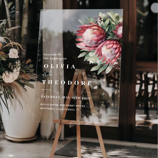 Aquarelle de Protea autochtone Boho floral Botaniq