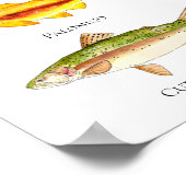 Aquarelle de truite Poster et imprimer (Coin)