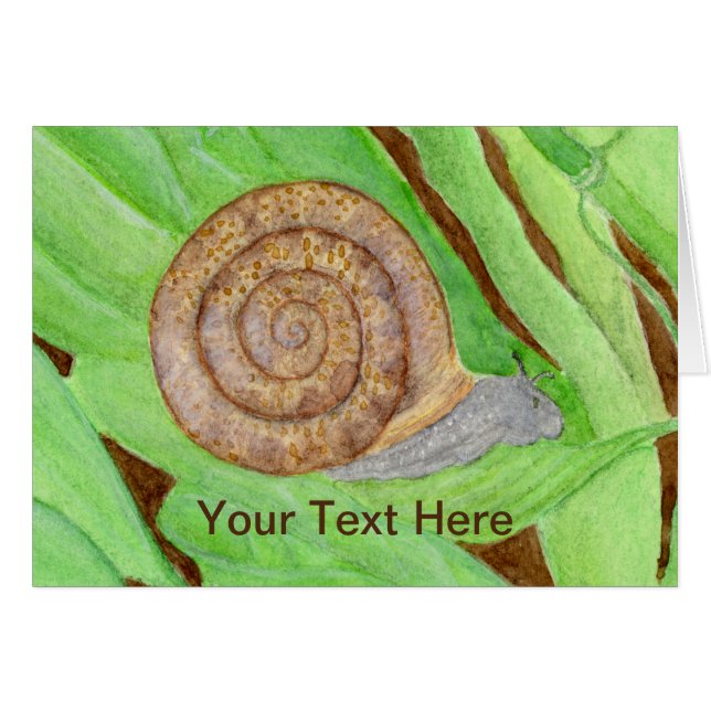 Aquarelle des escargots (Devant horizontal)