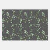 Aquarelle Eucalyptus Feuilles de verdure (Devant 3)