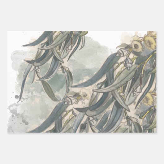 Aquarelle Eucalyptus Verdure Feuille (Devant 3)