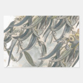Aquarelle Eucalyptus Verdure Feuille (Devant)