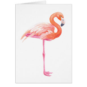 aquarelle Flamant rose