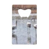 Aquarelle Flamant rose Pose (Devant)