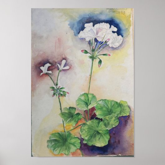 Aquarelle Fleur Blanche – Impression d'art botaniq (Devant)