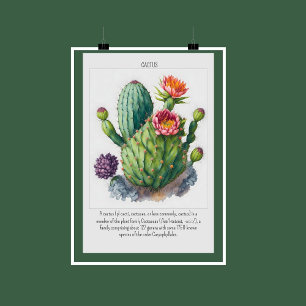 Aquarelle florissante Cactus Poster Décor du mur
