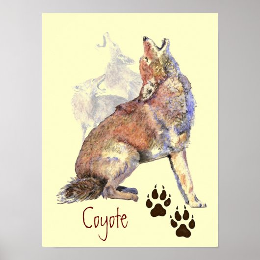 Aquarelle Howling Coyote Poster (Devant)