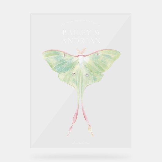 Aquarelle Luna Moth Mariage (Recto)