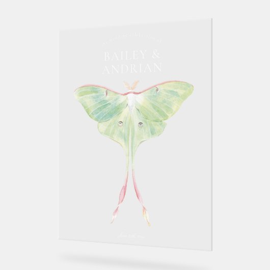 Aquarelle Luna Moth Mariage (Angle)