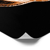 Aquarelle marine côtière de coquille affiche noire (Coin)