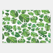 Aquarelle Monstera Feuille Nature Botanique Cadeau (Devant)