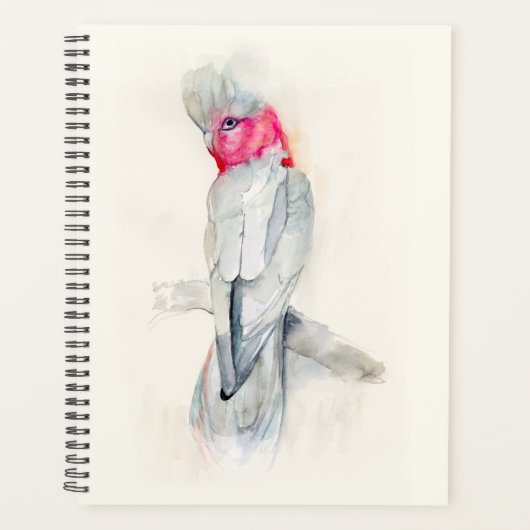 Aquarelle Opera Cockatoo (Devant)