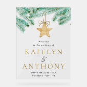 Aquarelle Pine Boughs Mariage d'hiver Bienvenue (Recto)