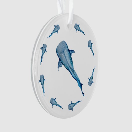 Aquarelle requin (devant)