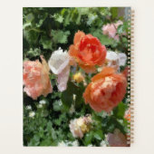 Aquarelle Rose orange (Dos)