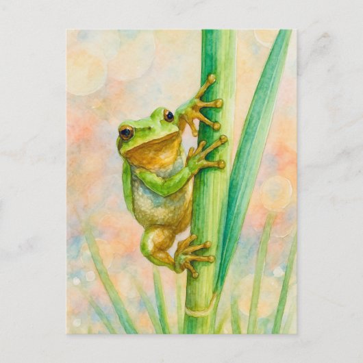 Aquarelle Springtime Frog Cartes postales (Devant)