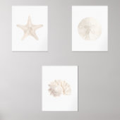 Aquarelle Starfish Sand Dollar Sea Shell Beach (Recto)