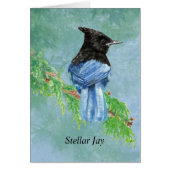 Aquarelle Stellar Jay Nature (Devant)