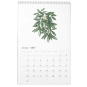 Aquarelles botaniques Calendrier 2022 (Jan 2027)