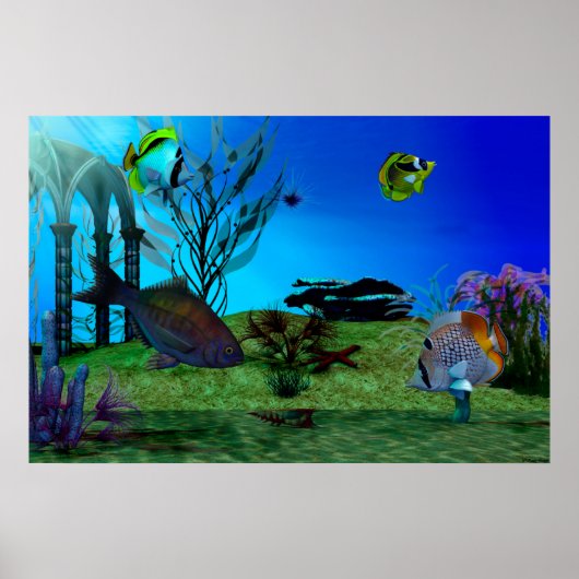 Aquarium3D Poster (Voorkant)