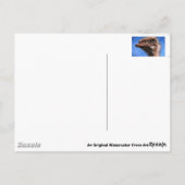 Aquarium Briefkaart (Achterkant)