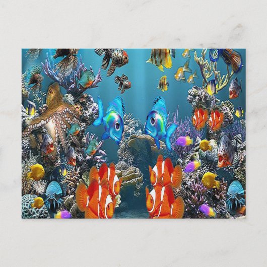Aquarium Briefkaart (Voorkant)
