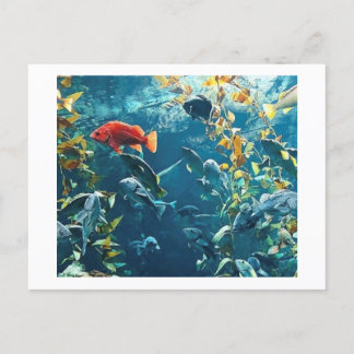 Aquarium-Briefkaarten Briefkaart
