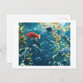 Aquarium-Briefkaarten Briefkaart (Voorkant / Achterkant)