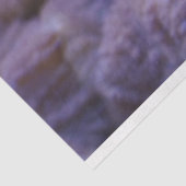 aquarium-citroenweefselpapier tissuepapier (Detail)