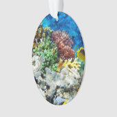 Aquarium de corail (devant)