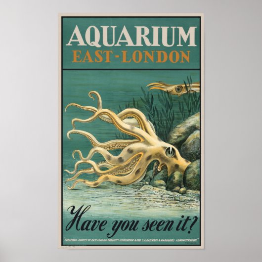 Aquarium, East London-Octopus Poster (Voorkant)