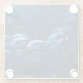 Aquarium Glazen Onderzetter (Achterkant)