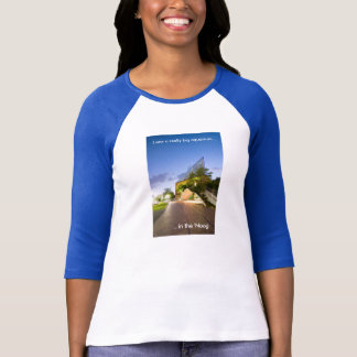 Aquarium in de Noog 3/4 Sleeve Raglan T-Shirt