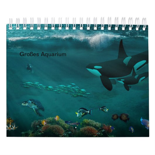 Aquarium Kalender (Hoes)