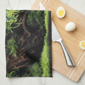 Aquarium Layout of Freshwater Angelfishes Theedoek (Quarter Fold)