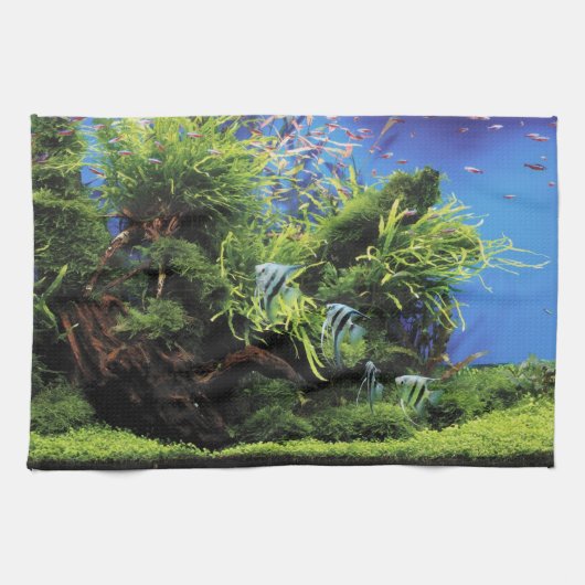 Aquarium Layout of Freshwater Angelfishes Theedoek (Horizontaal)
