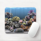 Aquarium Muismat (Met muis)